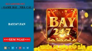 Giới thiệu về Bay247.fan - Nhà Cái Uy Tín Thị Trường Việt Nam